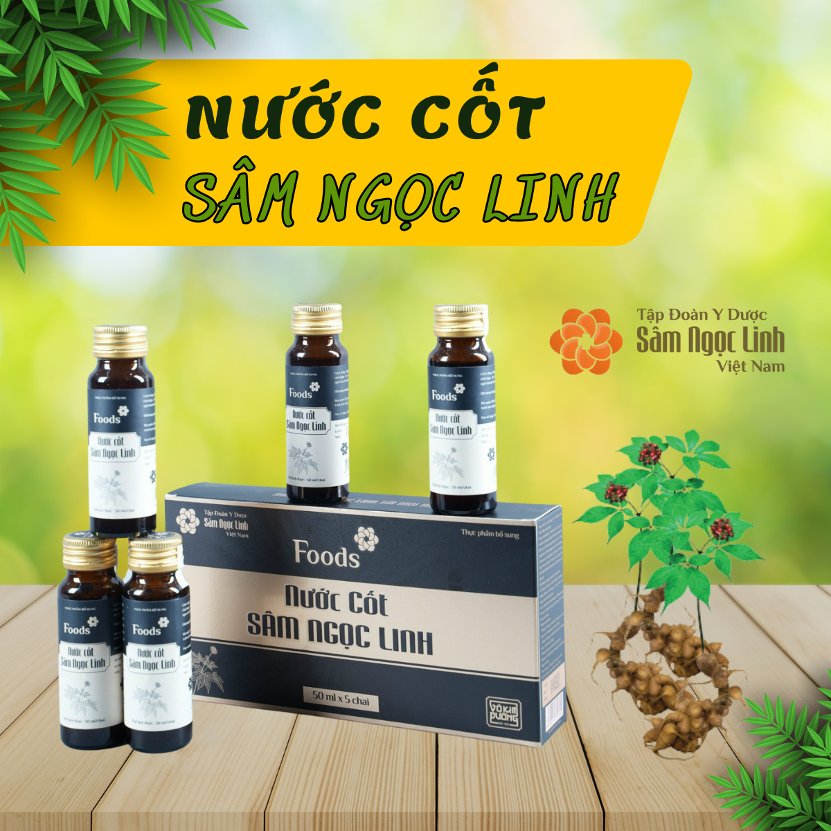 Nước cốt Sâm Ngọc Linh (hộp/5 lọ  nhỏ)